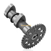Suzuki LT-Z400 Intake & Exhaust Camshaft & Chain Kit (2003–2014)