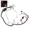 Suzuki QuadSport LT80 2x Wiring Harness 2x4 (1989–1998)