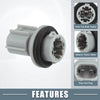 Toyota RAV4 Light Bulb Socket (2013-2018)