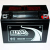 PIT PRO DIRT QUAD BIKE ATV BUGGY SCOOTER MOTORCYCLE 12V 6.5AH Battery