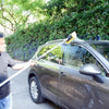 Outdoor Vehicles Wash Brush / 10 Inch / Soft Bristle Wash Brush