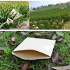 Cash, Check, Ticket, Seed, Post Office 200PCS Coin Envelopes