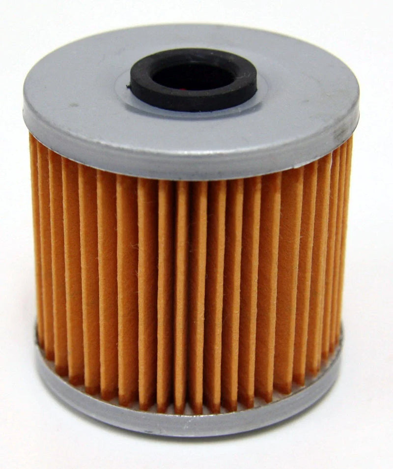 Kawasaki Bayou 250 Oil Filter (2003–2011)