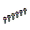 Bicycle Motorcycle 6pcs M6x20mm Titanium Torx Head Flange Screws