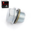 Suzuki GSX-R oil drain plug & gasket