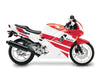 Honda CBR600F2 Bolts & Dzus Studs / Stainless / Fairing Bolts & Clips