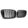 BMW X3 G01 X4 G02 2018-2021 Gloss REAL Carbon Fiber Front Bumper Grille
