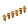 Bike Motorcycle 6pcs M6x30mm Titanium Torx Head Flange Bolts