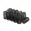 LS Engines Beehive Valve Spring Kit .625" Lift (All Years)