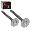 Club Car 341cc Golf Cart Exhaust & Intake Valve Set (1984–1991)