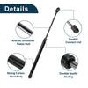 Acura TL Hood Lift Supports Struts (2009 - 2014)