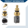 Ford Engine Coolant Temperature Sensor (1996-2004)