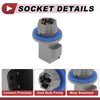 Ford F-150 License Plate Light Socket Wiring (2001-2014)
