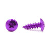 30pcs Universal Purple Motorcycle Round Cross Head Self Tapping Bolts Screws