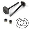 Yamaha Big Bear / Wolverine / Bruin / Grizzly 350 Intake Valve (1987–2002)