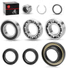 Honda TRX500FA Foreman Rubicon 05-14 Rear Differential Bearing Seal Kit