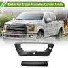 Ford F150 Black ABS Tailgate Trim (2015-2020)