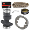Honda TRX300EX / TRX300X / TRX250X 93-09 FourTrax Camshaft Timing Chain