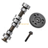 Polaris RZR 800, RZR S 800, RZR 4 800 Camshaft Gear Bolt Set (2008–2014)