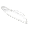 BMW 5 Series E39 Transparent Headlight Lens Cover (2001-2003)