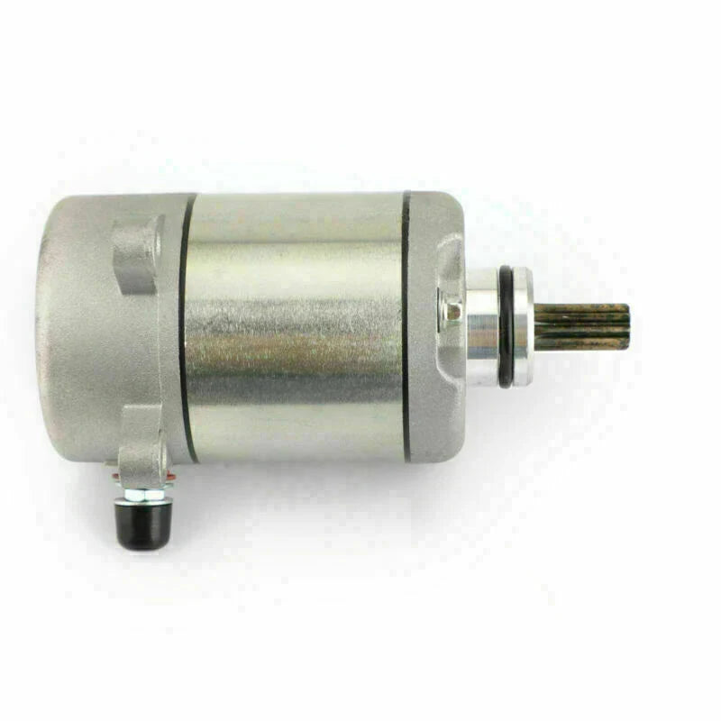 Honda TRX250 FourTrax 250 Electric Motor (2001-2006)
