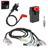 Honda FourTrax TRX300 TRX300FW Ignition Coil Plug CDI & Wire Harness (1994–1997)