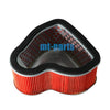 Honda VTX1800C, VTX1800F1 / F2 / F3 Air Filter Cleaner Element (2002-2008)