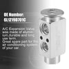 Ford Flex 2009-2010 A/C Expansion Valve (5F9Z19849CA, 6L1Z19D701C)
