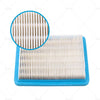 Briggs & Stratton Quantum Motors Air Filter & Spark Plug