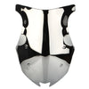 Kawasaki Z1000SX 2017-2019 Silver Windproof Windshield