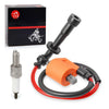 Suzuki DRZ400S / DRZ400E / DRZ400SM / DRZ400 Ignition Coil Spark Plug + CAP (2000–2023)