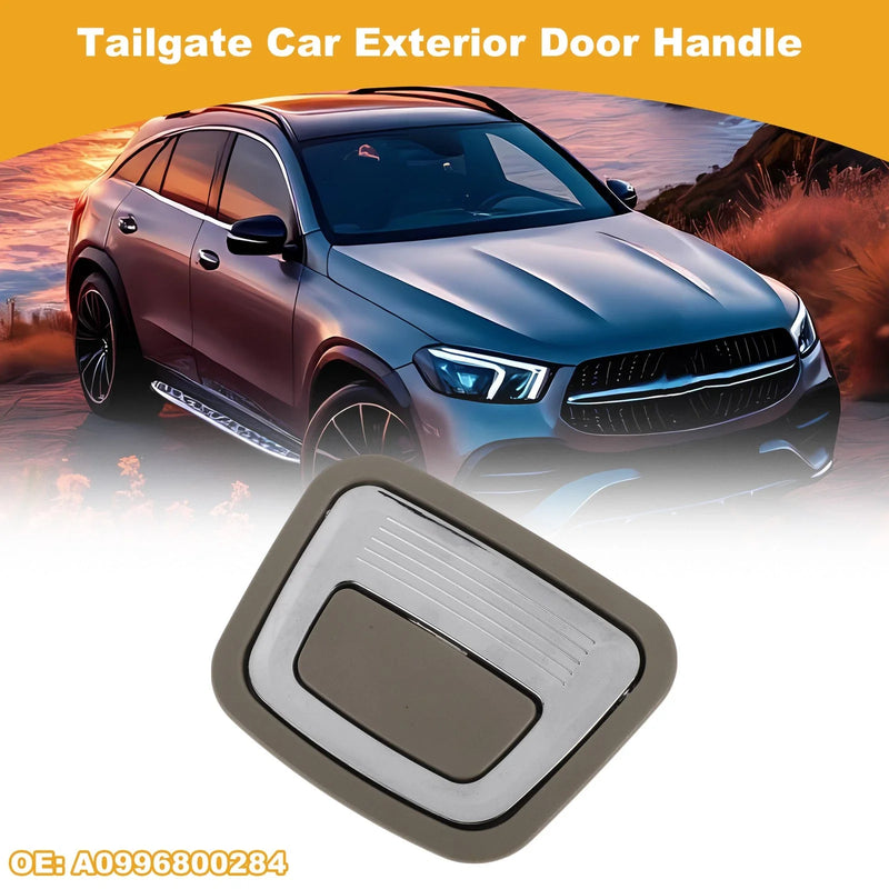 Mercedes-Benz X166 Exterior Door Handle (Beige Silver Tone)