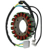 Kawasaki ZX900 Ninja ZX-9R Magneto Generator Stator Coil (1998-1999)