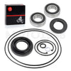 Honda Foreman Rear brake drum seal bearing kit (2000-2013)