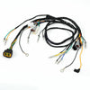 Yamaha Blaster YFS200 Wire Harness (2003–2006)