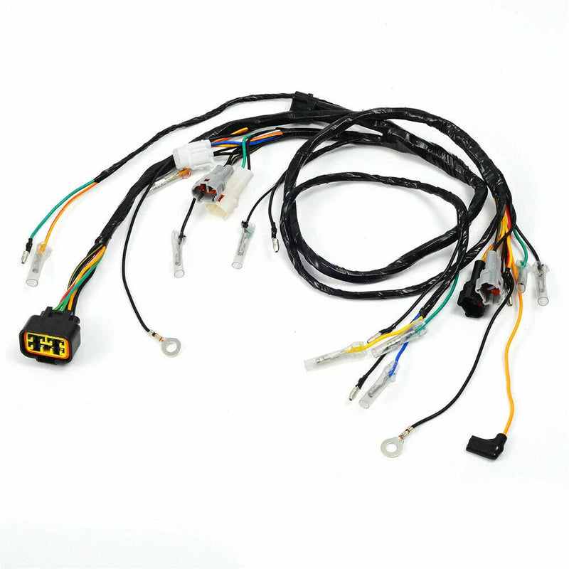 Yamaha Blaster YFS200 Wire Harness (2003–2006)