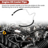BMW 535i F10 Engine Oil Cooler Tube (2009)