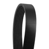 Honda Accord V-Ribbed Serpentine Drive Belt (2003-2007)