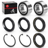 Honda Rincon 650 680 TRX650 TRX680 Rear Bearings & Seals Kit (2003–2013)