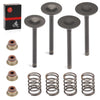 EZGO Golf Cart Intake Exhaust Valves & Seals (1992–1995)