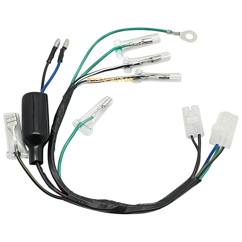 Honda CRF100F / CRF80F Wiring Harness (2004–2009)