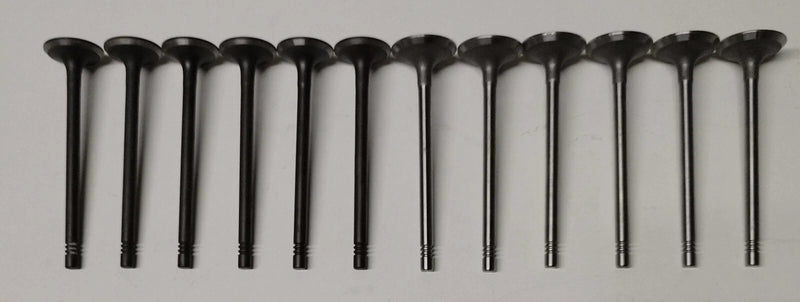 POLO FABIA PRAKTIK ROOMSTER GASKET BOLTS VALVES GUIDES 1.2 12V