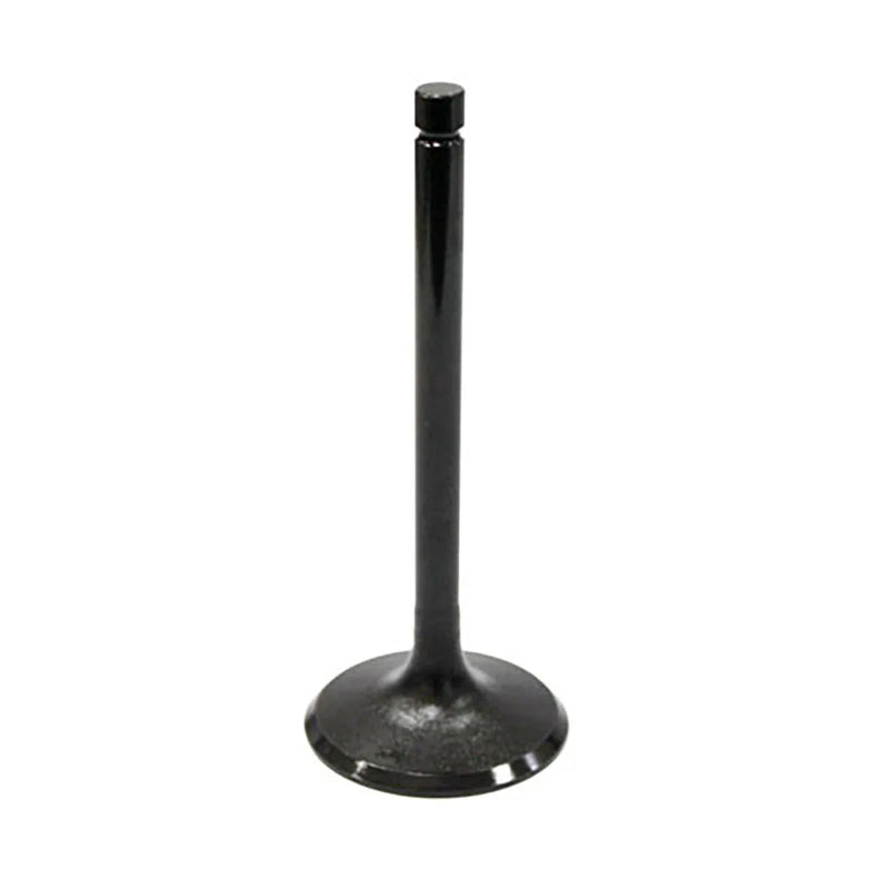 Suzuki QuadRunner 300 Engine Intake Valve 2x4 (1987–1989)