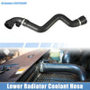 BMW 316Ci Radiator Coolant Hose (2000-2005)