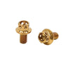 MakeModel Bolts / 20Pcs M6x10mm / Gold Ti Alloy Motorcycle Bolts
