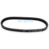 Piaggio X9 250 Drive Belt (2000-2001)