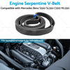 Mercedes Benz S550 SL550 C300 Serpentine V-Belt (2008-2017)