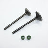 ZS CB PIT PRO TRAIL QUAD DIRT BIKE ATV 250cc Engine Head Intake Exhaust Valves