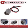 Ford F-150 License Plate Light Socket (2001-2014)