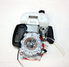 ESKY Scooter Buggy 49cc 4-Stroke 142F OHV Engine